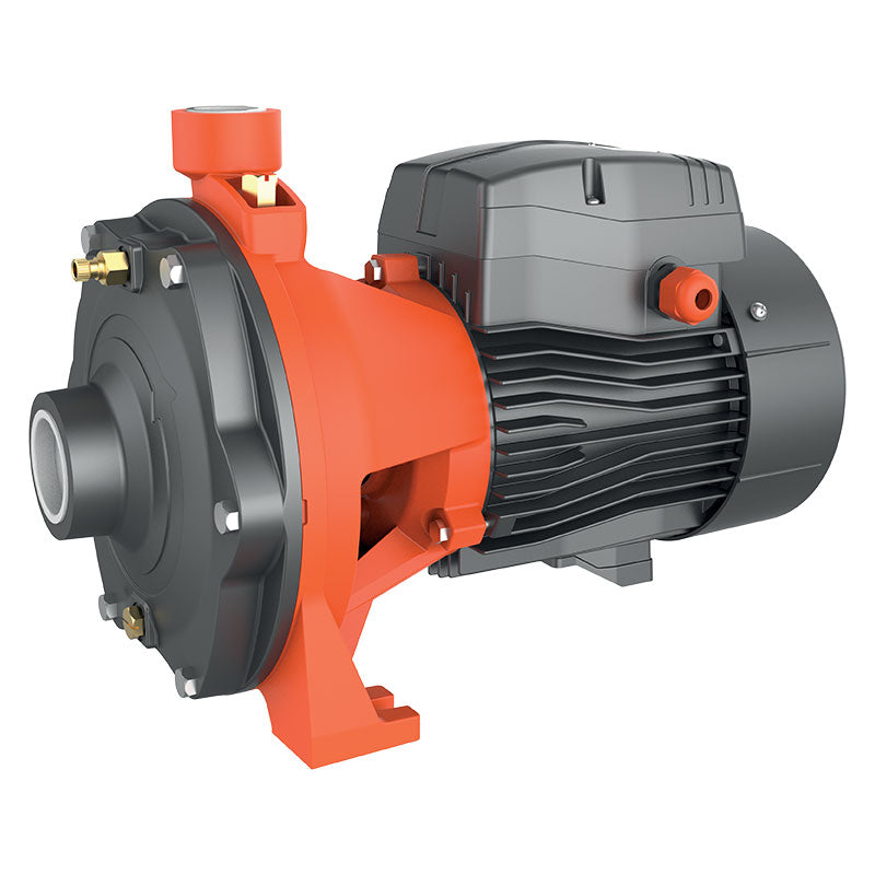 Leo 2ACm110 Elettropompa Centrifuga Bigirante Corpo Ghisa Girante Inox hp1.5 kw 1.1